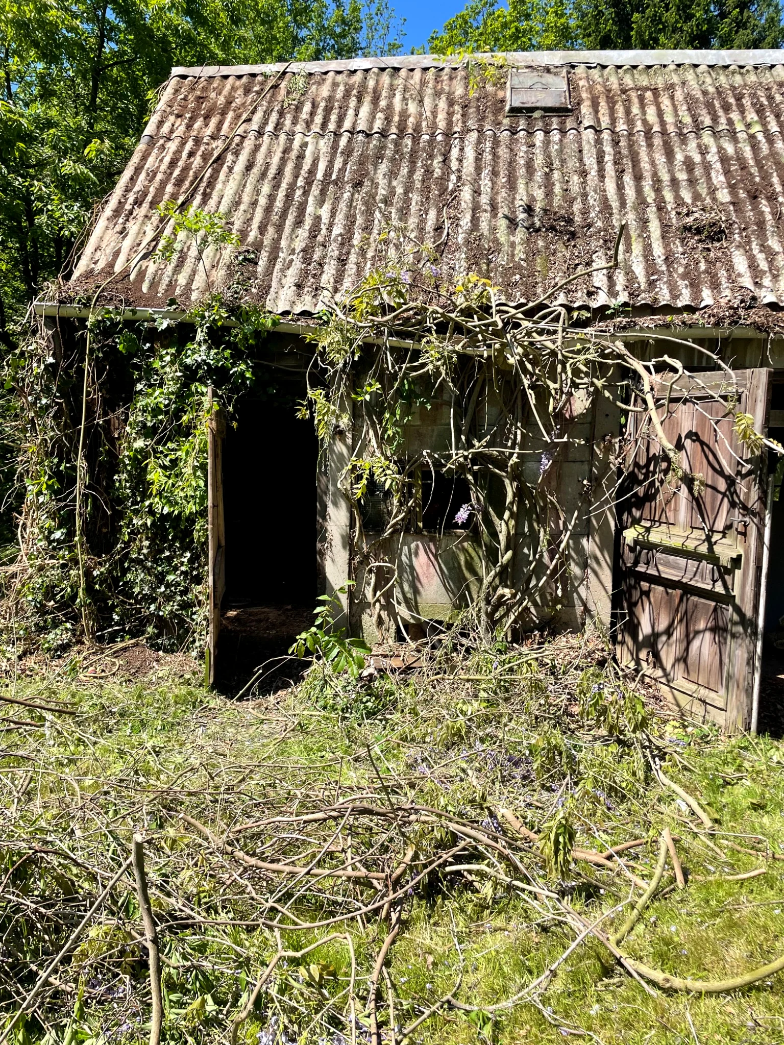 Outbuilding transformation